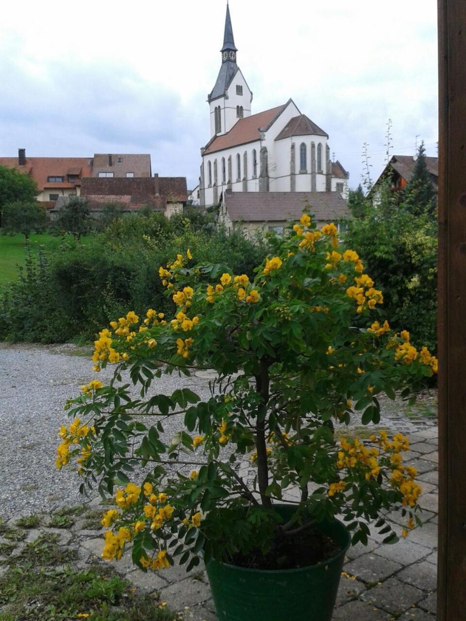 Ferienhaus Keller Lippertsreute Dış mekan fotoğraf